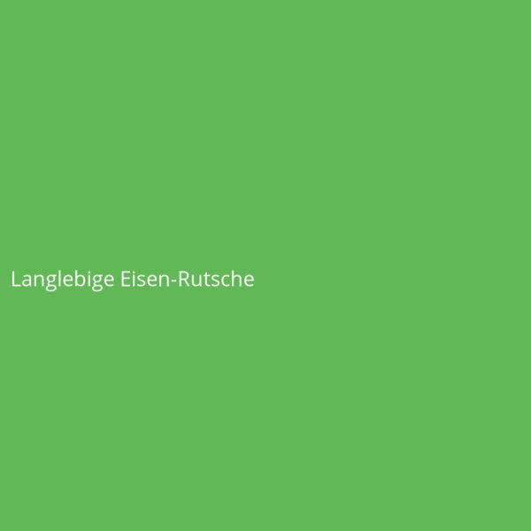 Langlebige Eisen-Rutsche