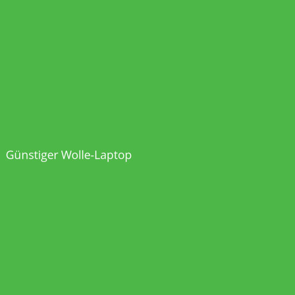 Günstiger Wolle-Laptop