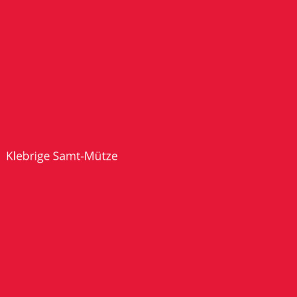 Klebrige Samt-Mütze