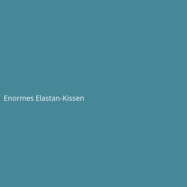 Enormes Elastan-Kissen